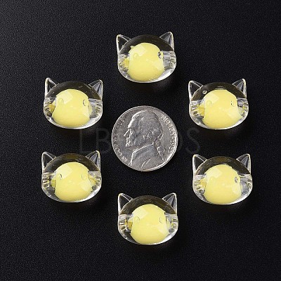 Transparent Acrylic Beads X1-MACR-S373-115-B05-1