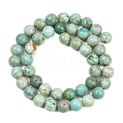 Natural Peruvian Turquoise(Jasper) Beads Strands G-F836-A02-8mm-1