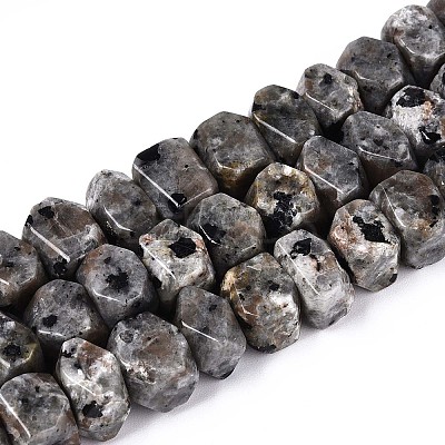 Natural Syenite Beads Strands G-N327-05-27-1