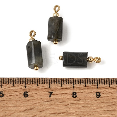 Natural Larvikite Pendants GG-CBACE45-02G-04-1