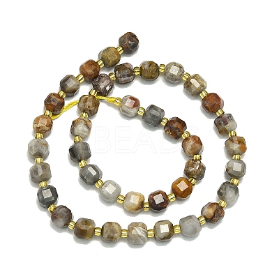 Natural Gobi Agate Beads Strand G-I376-D02-01-1