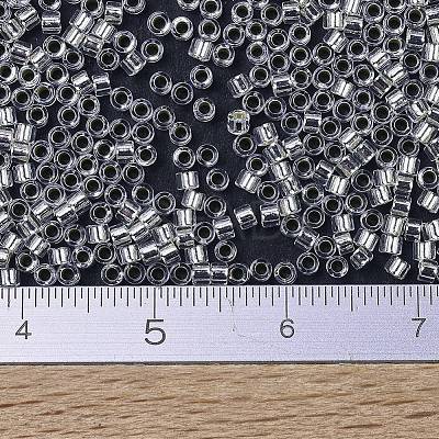MIYUKI Delica Beads X-SEED-J020-DB0041-1