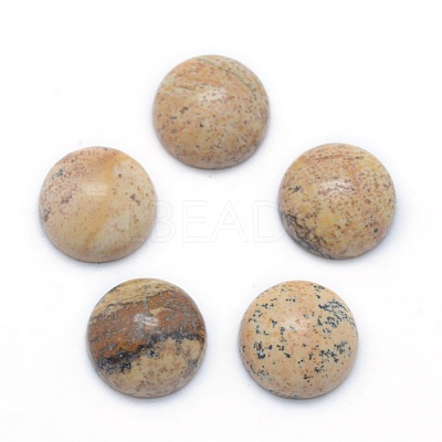 Natural Picture Jasper Cabochons G-P393-R51-6MM-1