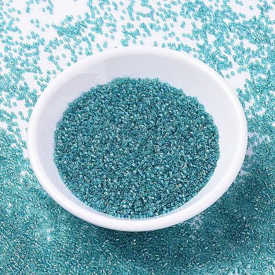 MIYUKI Delica Beads SEED-X0054-DB1248-1