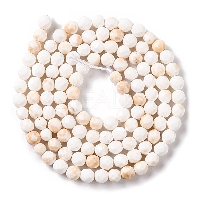 Natural Howlite Beads Strands G-C025-02B-09-1