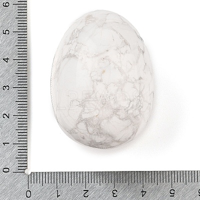 Natural Howlite Palm Stones LS-G-I367-04B-1
