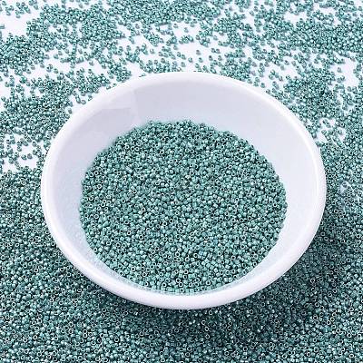 MIYUKI Delica Beads X-SEED-J020-DB1183-1