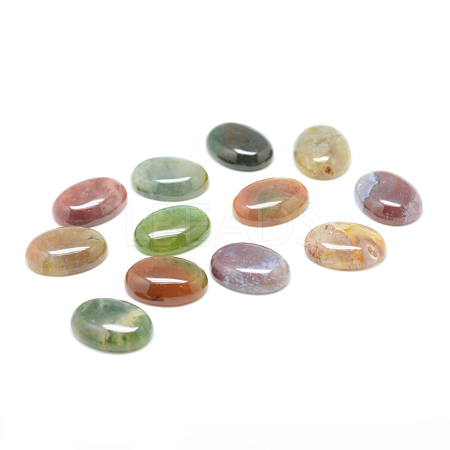 Natural Indian Agate Gemstone Cabochons X-G-T020-15x20mm-27-1