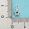 925 Sterling Silver Charms STER-G035-01C-01-3