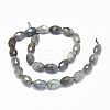 Natural Labradorite Beads Strands G-F632-16A-1