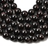 Natural Garnet Gemstone Bead Strands G-R263-10mm-3