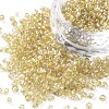 8/0 Glass Seed Beads X1-SEED-A007-3mm-162-1
