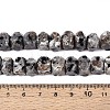 Natural Syenite Beads Strands G-D091-A32-5