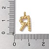 316 Surgical Stainless Steel Pendants & Charms LS-STAS-D031-01R-3