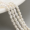 Natural Cultured Freshwater Pearl Beads Strands PEAR-P062-01F-2