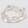 Electroplate Natural Freshwater Shell Beads Strands SHEL-R049-027C-2