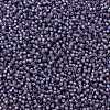 TOHO 11/0 Round Beads X-SEED-TR11-2124-2
