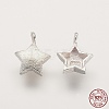 925 Sterling Silver Charms STER-K029-12MS-1