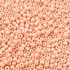 Baking Paint Glass Seed Beads SEED-H002-I-A527-3
