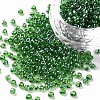 8/0 Glass Seed Beads SEED-A006-3mm-107B-1