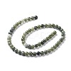 Natural Taiwan Jade Beads Strands Z0NCT012-5