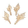 Natural Shell Pendants SHEL-K009-01E-1