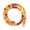 Natural Sardonyx Beads Strands G-S369-002C-B02-2