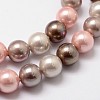 Shell Pearl Bead Strands BSHE-L017-15-3