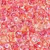 Transparent Colours Glass Seed Beads SEED-Q042-01A-A05-3
