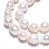 Natural Baroque Pearl Keshi Pearl Beads Strands PEAR-S020-F01-02-5