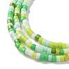 Handmade Czech Lampwork Beads Strands LAMP-L078-008A-3