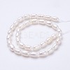 Natural Cultured Freshwater Pearl Beads Strands PEAR-P002-23-2