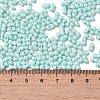 Opaque Colours Luster Glass Seed Beads X1-SEED-B001-01A-08-4