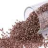 TOHO Round Seed Beads SEED-JPTR15-0746-1
