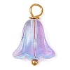 20Pcs Glass Beads Pendants PALLOY-JF03103-3