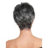 Fashion Ombre Short & Straight Wig OHAR-L010-050-6