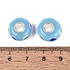 Handmade Lampwork & Brass Core European Beads LAMP-N044-04S-02-2
