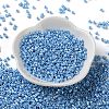 Baking Paint Glass Seed Beads X-SEED-S042-15A-11-2