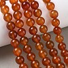 Round Natural Red Agate Bead Strands G-M257-10mm-26-7