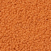 MIYUKI Round Rocailles Beads X-SEED-G007-RR0405F-3