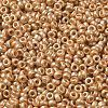 Baking Paint Glass Seed Beads SEED-P006-03A-24-3