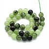 Natural Quartz Beads Strands G-N355-10mm-02-2