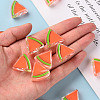 Transparent Enamel Acrylic Beads TACR-S155-001A-5