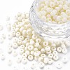 6/0 Glass Seed Beads SEED-T005-14-B11-6