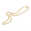 304 Stainless Steel Rolo Chain Necklaces NJEW-JN03411-1
