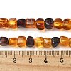 Natural Amber Beads Strands G-K387-E02-01-5