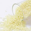 TOHO Round Seed Beads X-SEED-TR15-0182-1