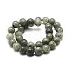 Natural Labradorite Bead Strands G-P256-01-10mm-2