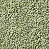 MIYUKI Round Rocailles Beads SEED-X0055-RR4473-3