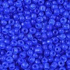 6/0 Luminous Glass Seed Beads X1-SEED-NH0001-01J-4